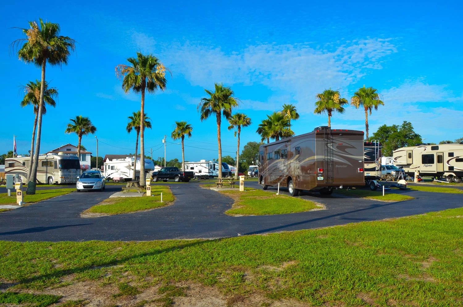 Sunny RV campground with palm trees