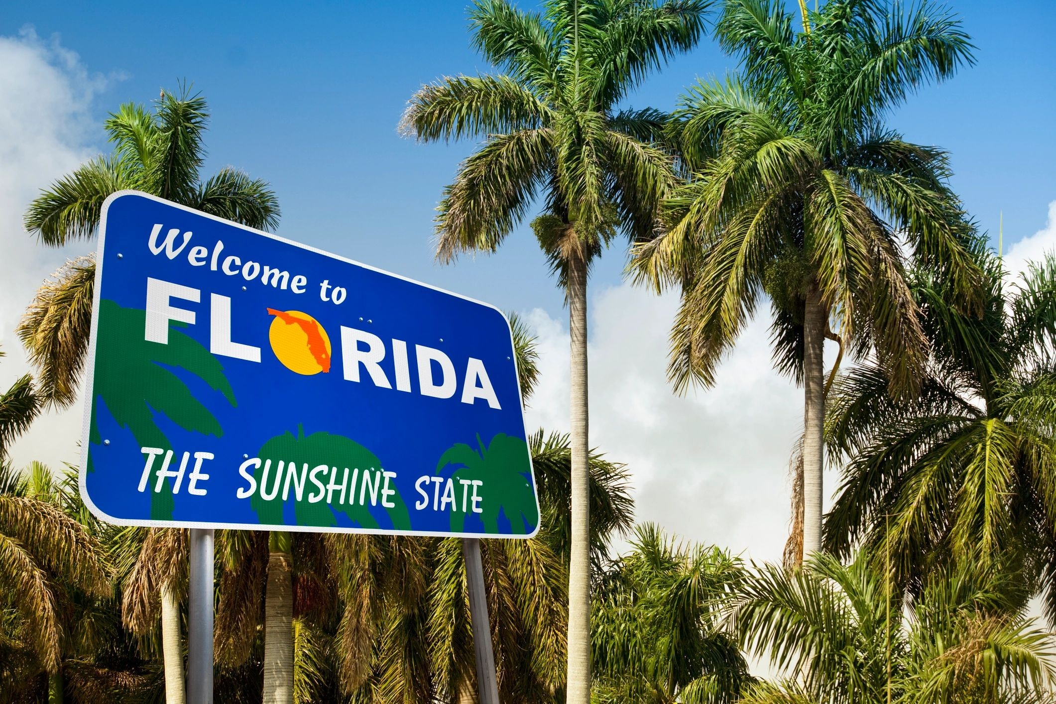 Florida attractions near Southern Ducks